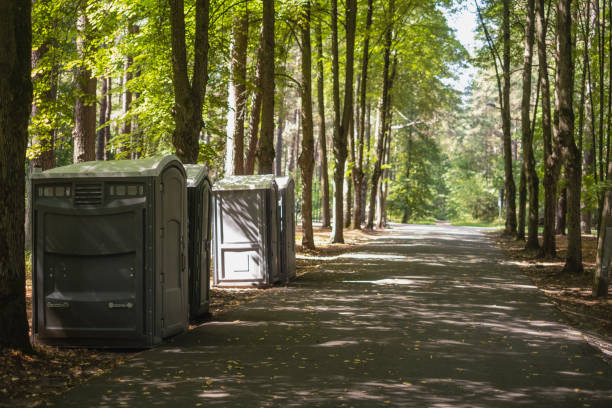Best Porta potty rental for parties  in Fordoche, LA